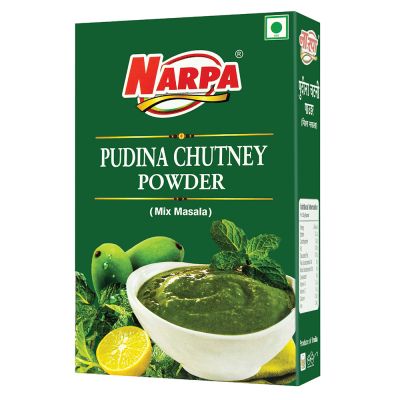 NARPA Pudina Chutney Powder Mix, 100g Carton