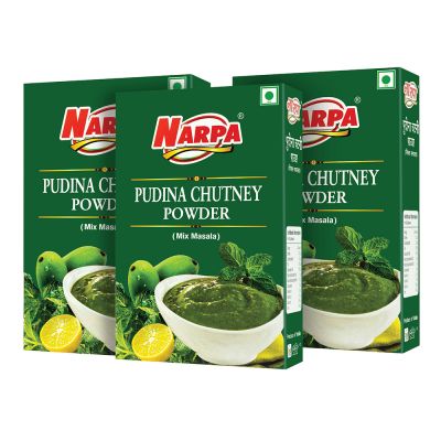 NARPA Pudina Chutney Powder Mix, 100g Carton, (Pack of 3)